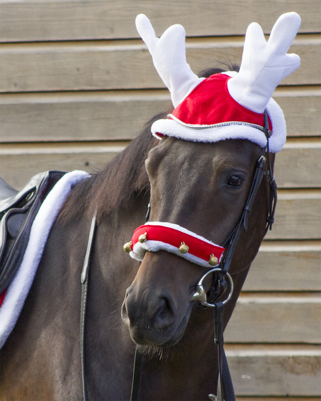 Cappello renna di Natale