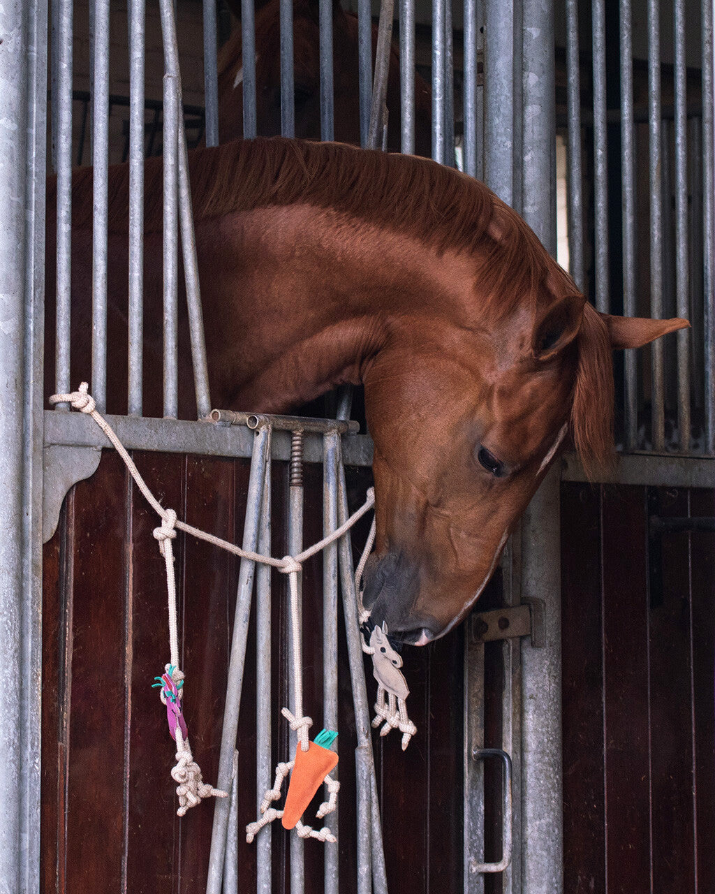 Appendino per scatola giocattoli cavallo