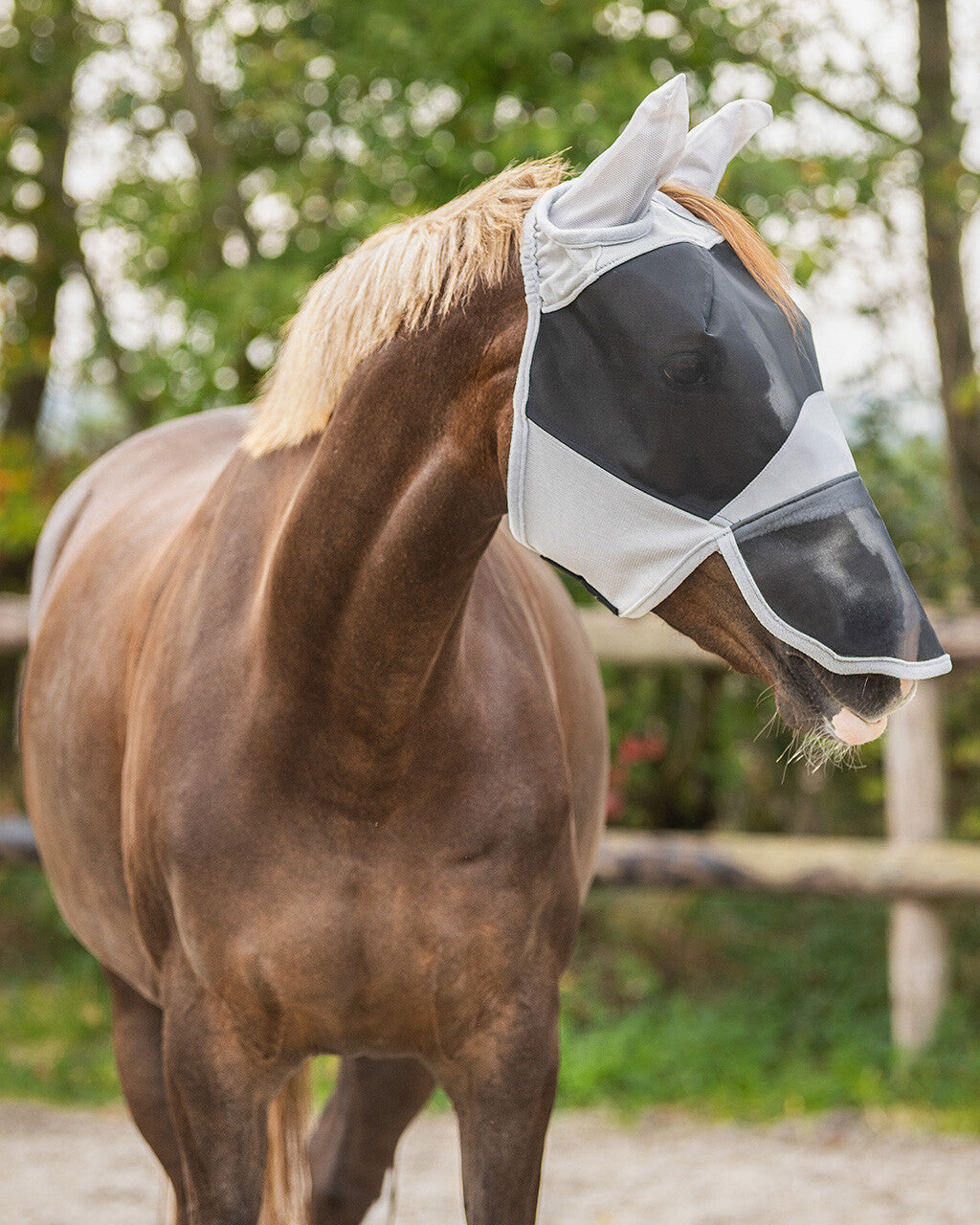 Maschera anti-mosche Solaire