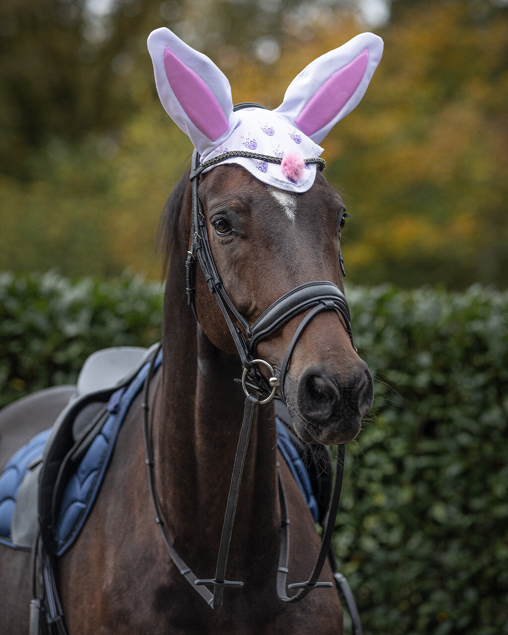 Rete per orecchie - Bunny