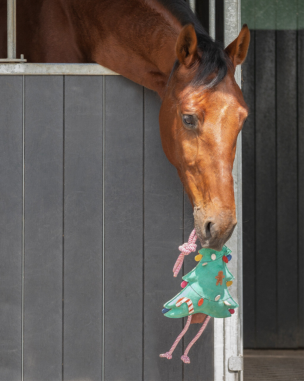 Giocattolo cavallo di Natale