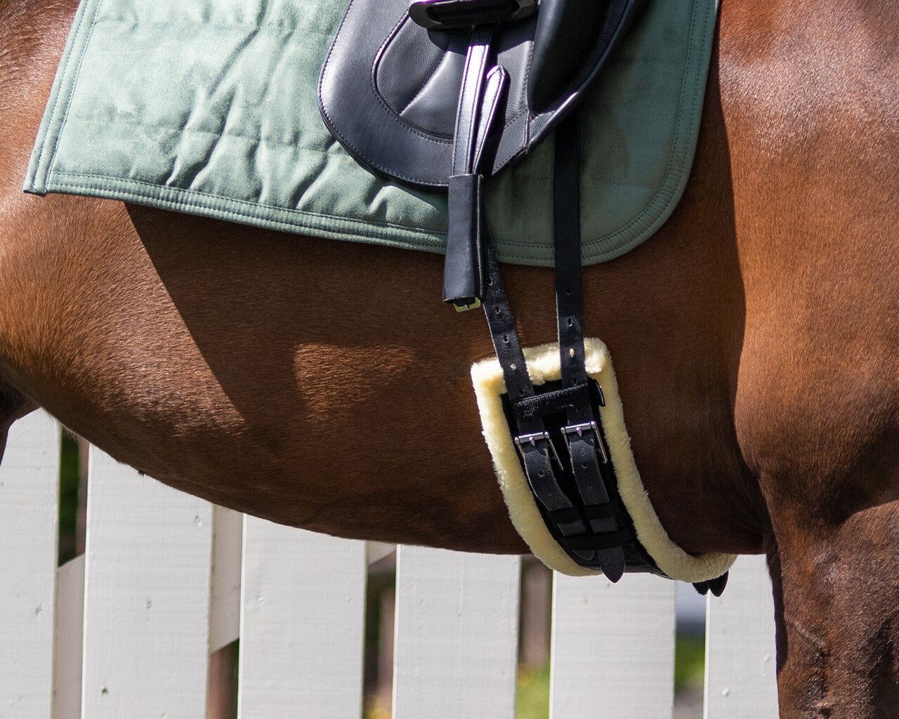 Sottopancia dressage - Ontario