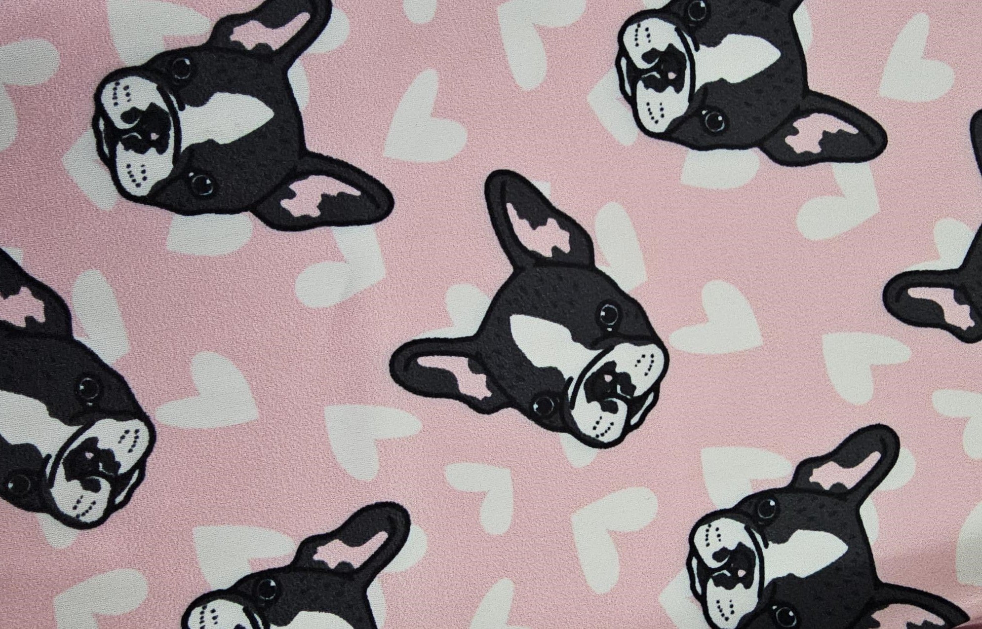 Set intimo tecnico per bambini - Cani