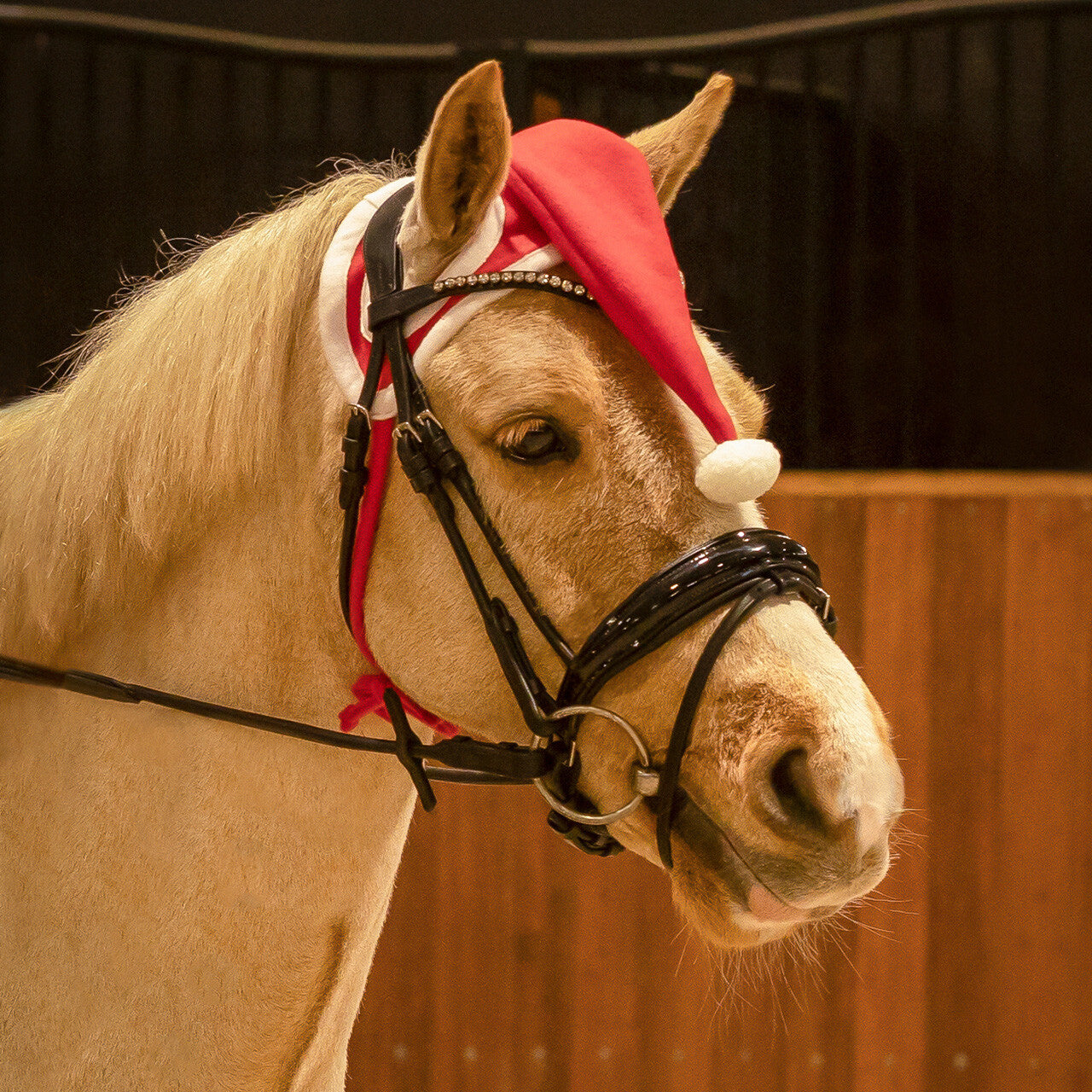 Cappello da cavallo di Natale
