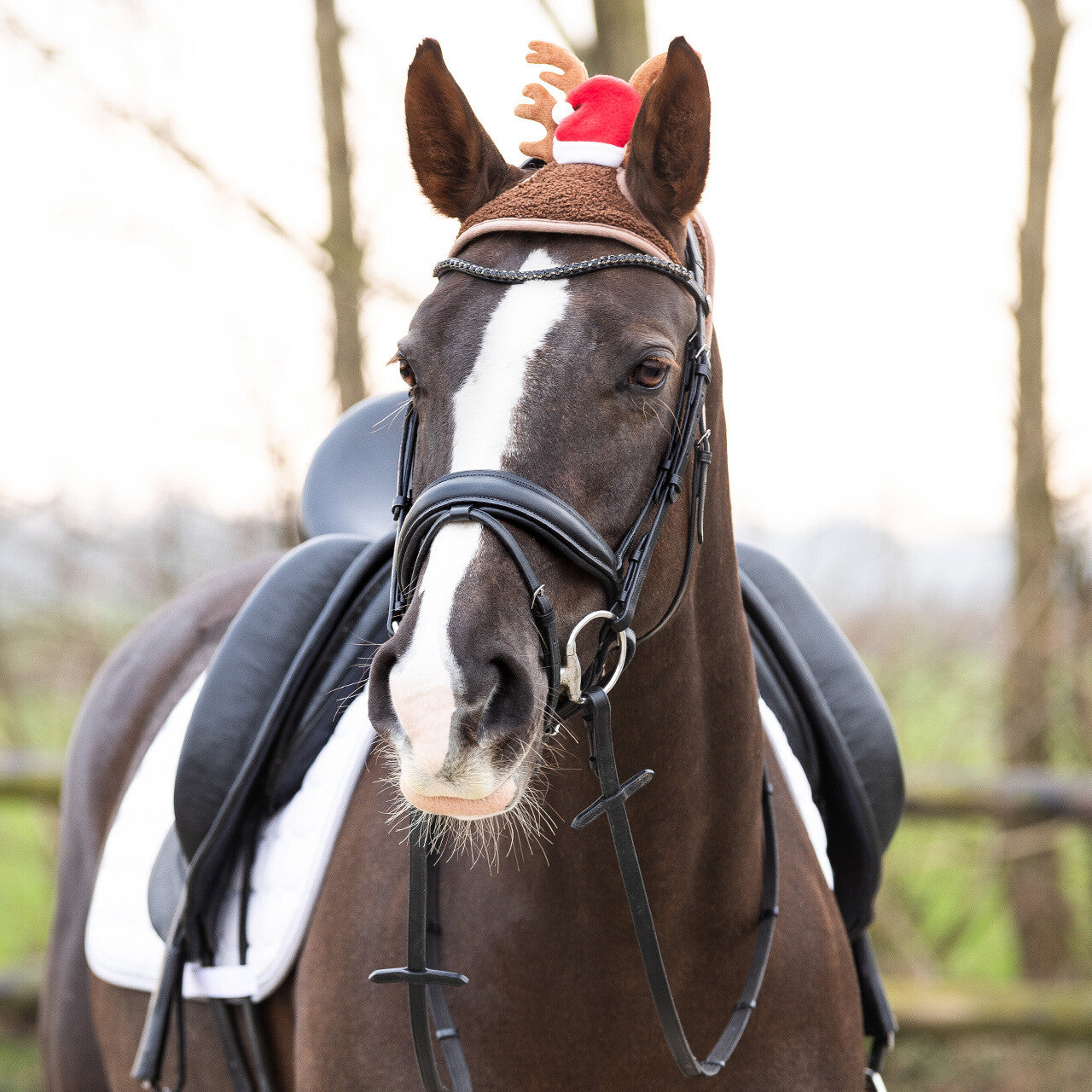 Cappello di Natale con corna da cavallo